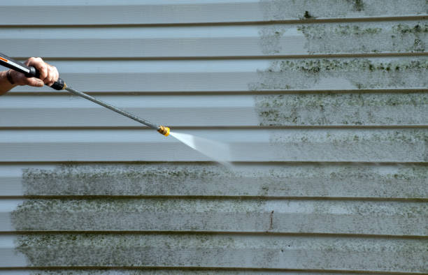 Paint Preparation in Albany, GA